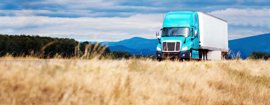 Blue semi-truck driving down the highway with dried grass on the side of road.